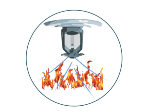 Illustration Design by Graphicsync