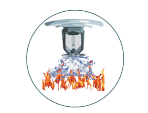 Illustration Design by Graphicsync for Just Focus, Inc. | Design: #10807848