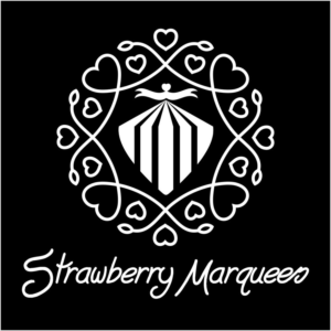 Logo Design by Wide Vision Technologies