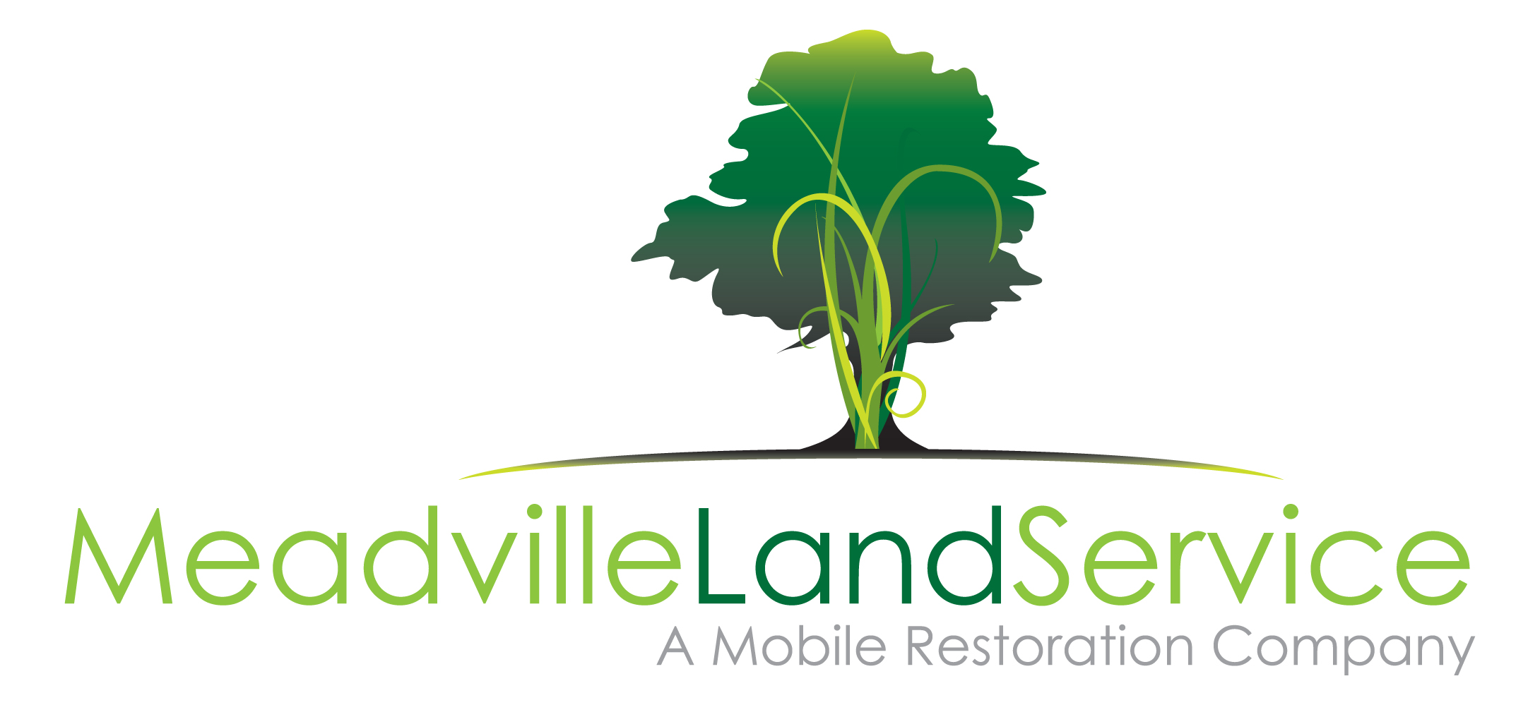 Logo Design by Christine Plumb for Meadville Land Service, Inc. | Design #20099