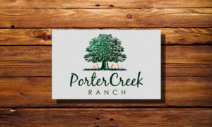 Logo Design by inspiral