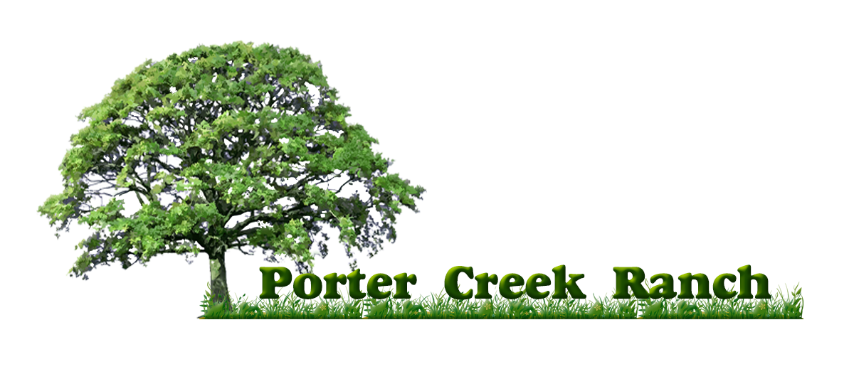 Logo Design by E.Dorranipour for Distinctive Holiday Homes LLC | Design #10609108