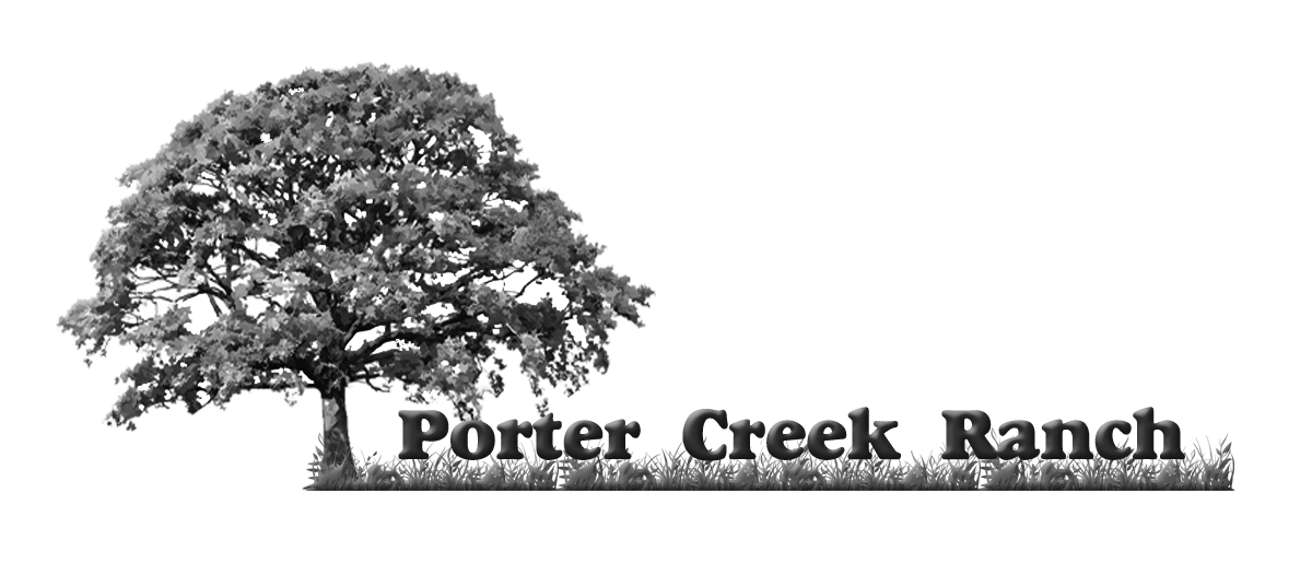 Logo Design by E.Dorranipour for Distinctive Holiday Homes LLC | Design #10610192