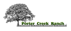 Logo Design by E.Dorranipour for Distinctive Holiday Homes LLC | Design: #10610193