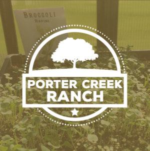 Logo Design by Sen Design for Distinctive Holiday Homes LLC | Design: #10530684