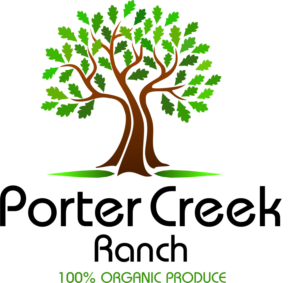 Logo Design by Julie2too