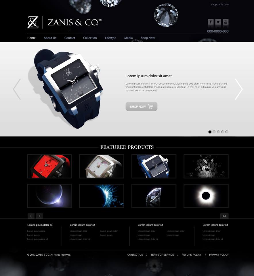 Diseño Web por moonzubi para Zanis & Co | Diseño #2227568