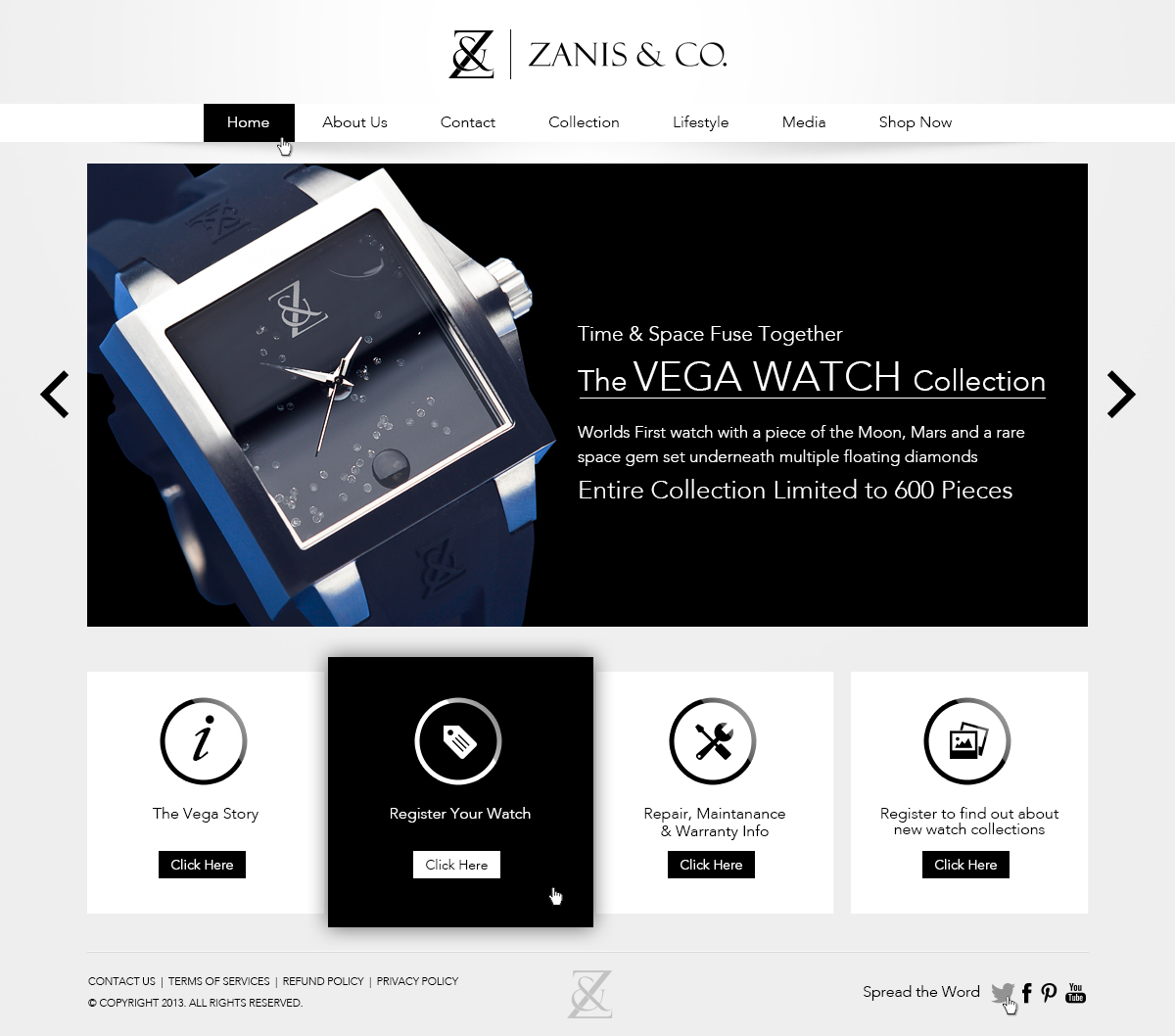 Web Design by Latest Design Ideas for Zanis & Co | Design #2220222