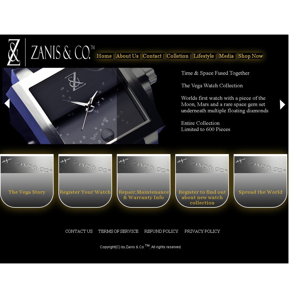 Web-Design von geeko für Zanis & Co | Design #2215444