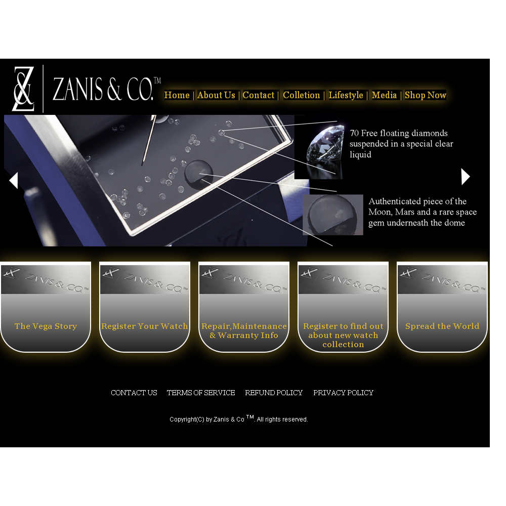 Web Design by geeko for Zanis & Co | Design #2215455