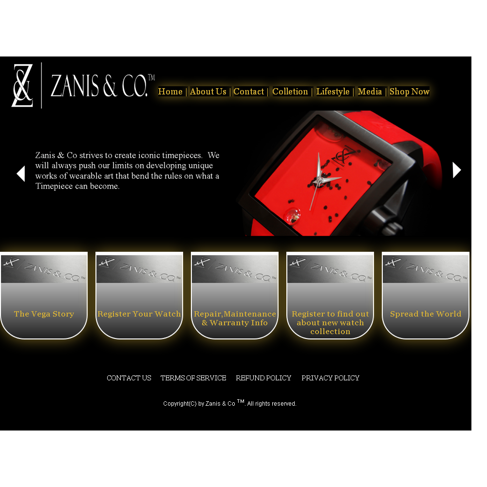 Web-Design von geeko für Zanis & Co | Design #2215464