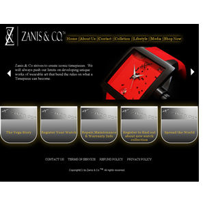 Web Design by geeko for Zanis & Co | Design: #2215464
