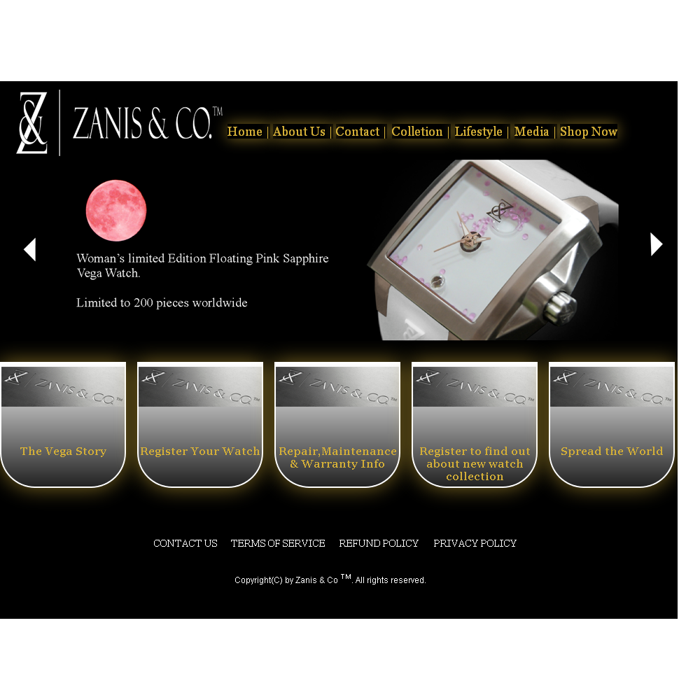 Web Design par geeko pour Zanis & Co | Design #2215466