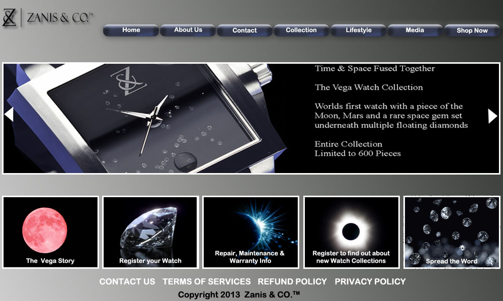 Web Design by Mónica for Zanis & Co | Design #2231529