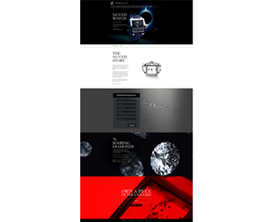 Web Design by aarsita for Zanis & Co | Design #2346066