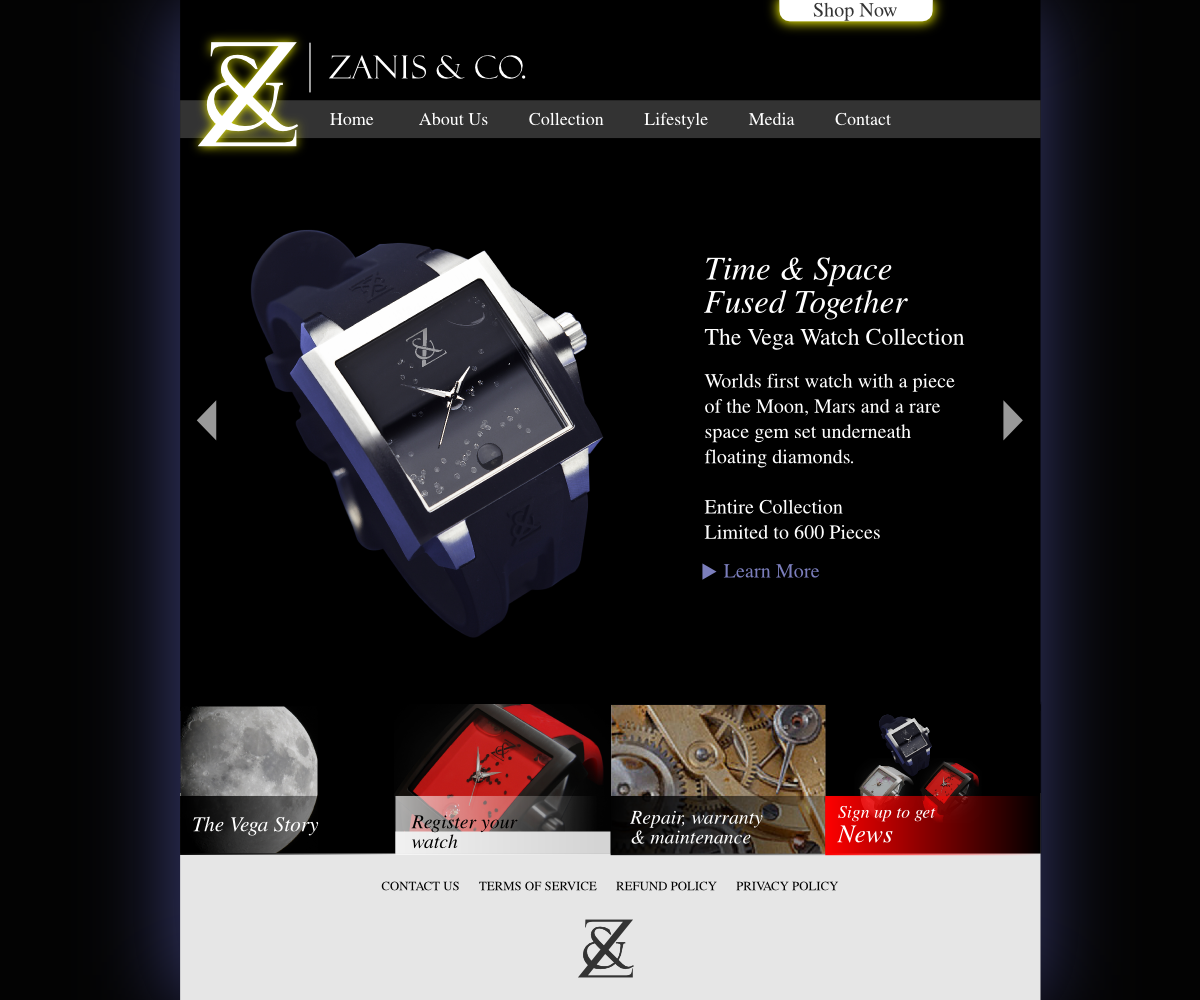 Web Design by  Alex.V [Tantra Rama Prod.] for Zanis & Co | Design #2233471
