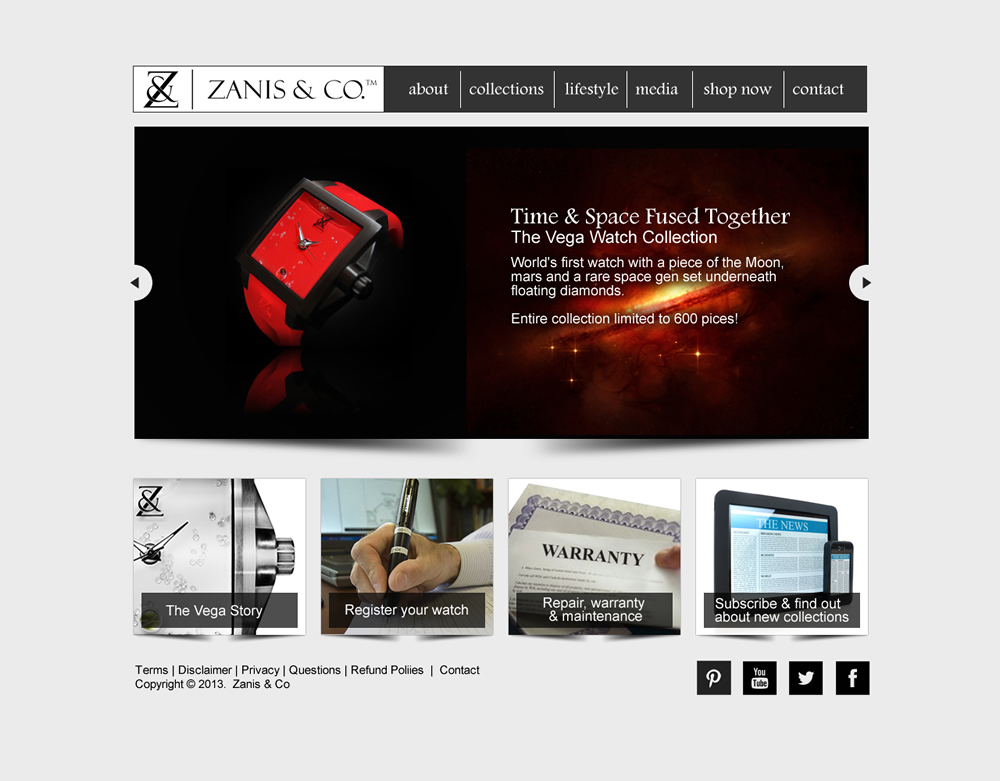 Web Design by hammer for Zanis & Co | Design #2226505