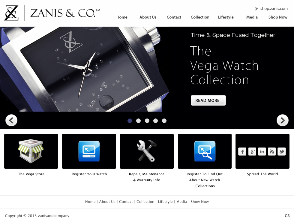 Web Design by pb for Zanis & Co | Design #2212076