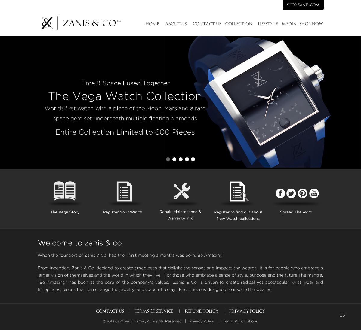 Web Design by pb for Zanis & Co | Design #2212077