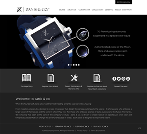 Web Design by pb for Zanis & Co | Design: #2212078