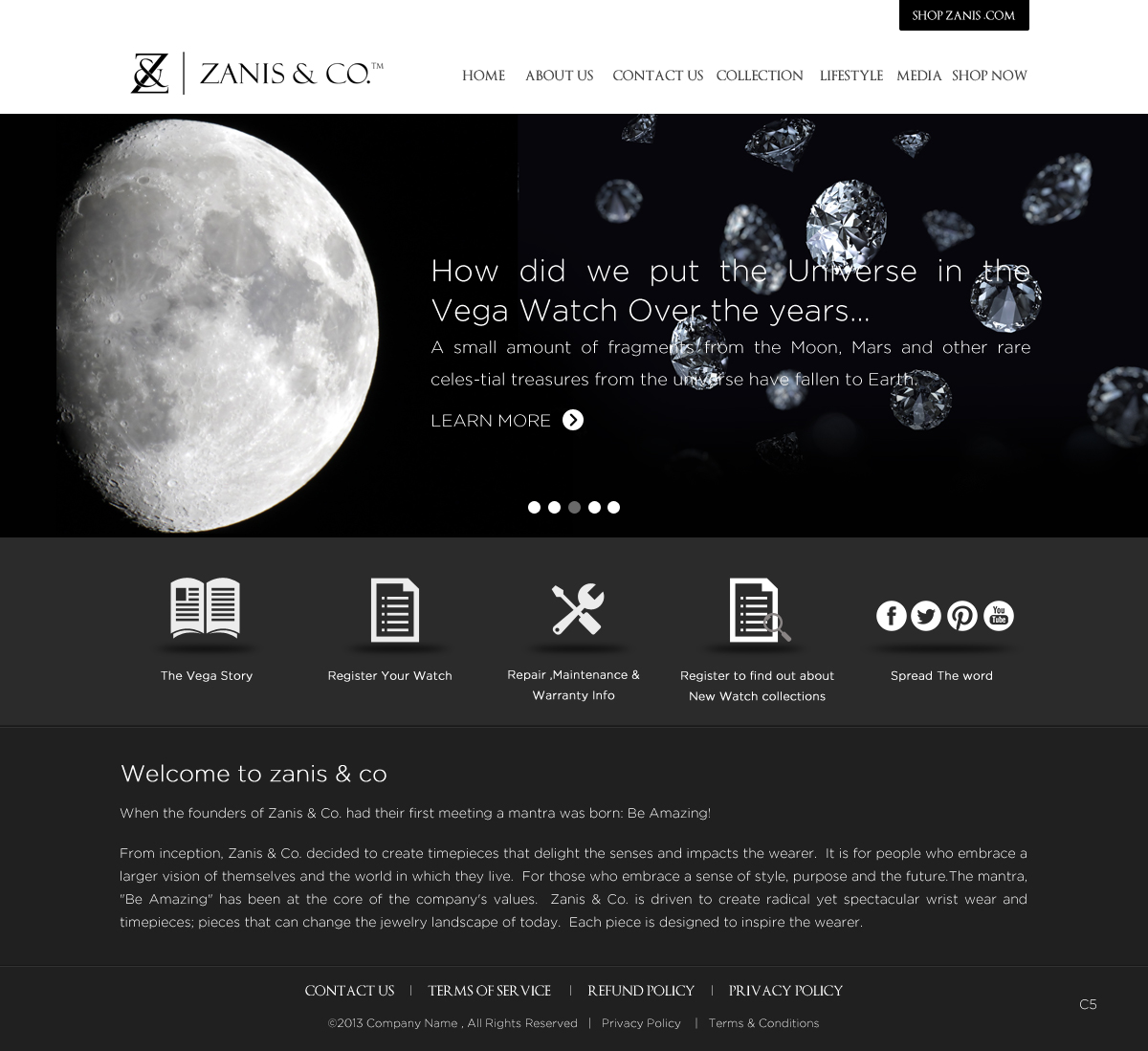 Web-Design von pb für Zanis & Co | Design #2212080