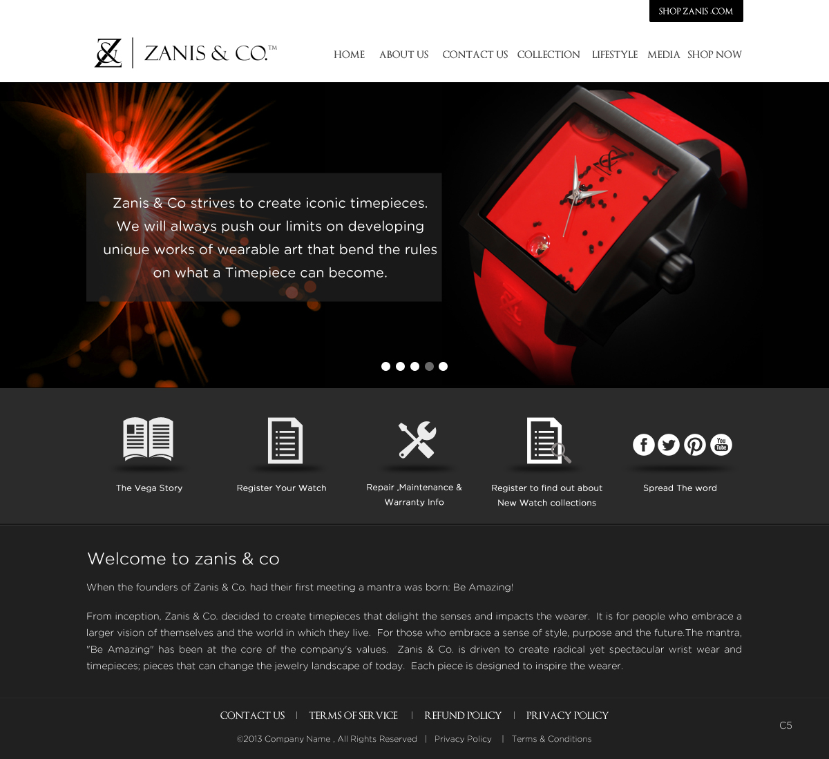 Web Design by pb for Zanis & Co | Design #2212082