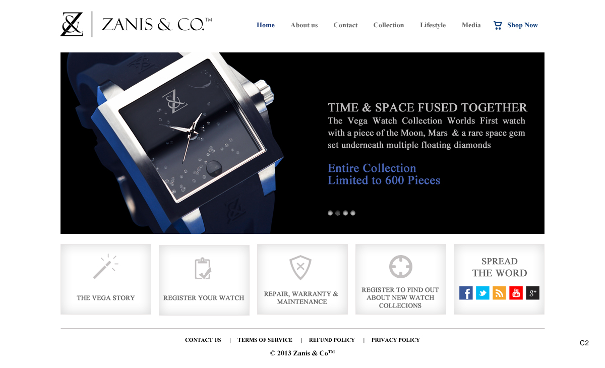 Web Design by pb for Zanis & Co | Design #2212086