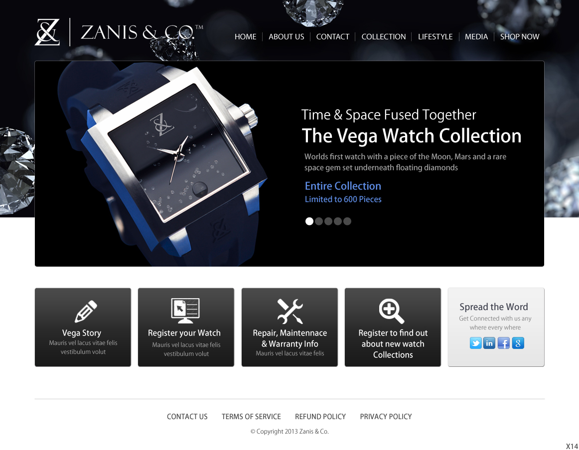 Web Design by pb for Zanis & Co | Design #2212092