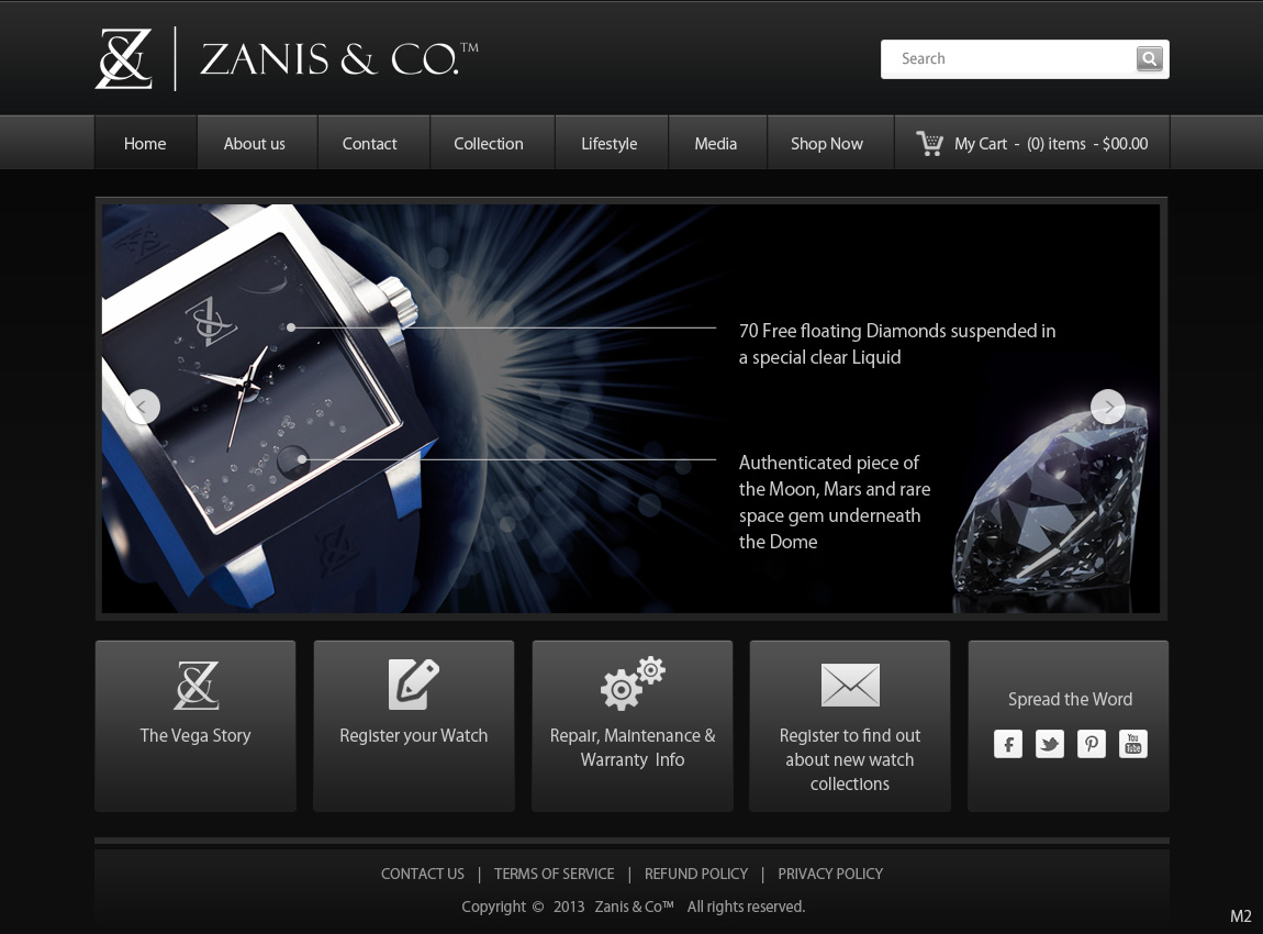 Web Design by pb for Zanis & Co | Design #2212093