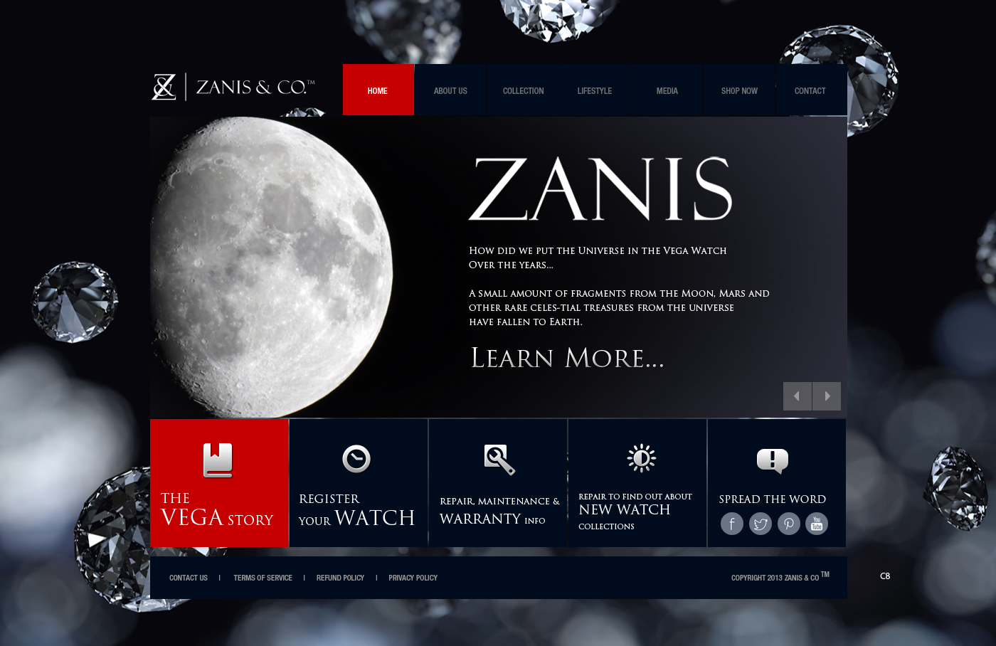 Web Design by pb for Zanis & Co | Design #2215691