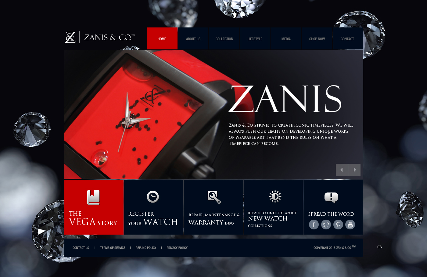 Web Design by pb for Zanis & Co | Design #2215697