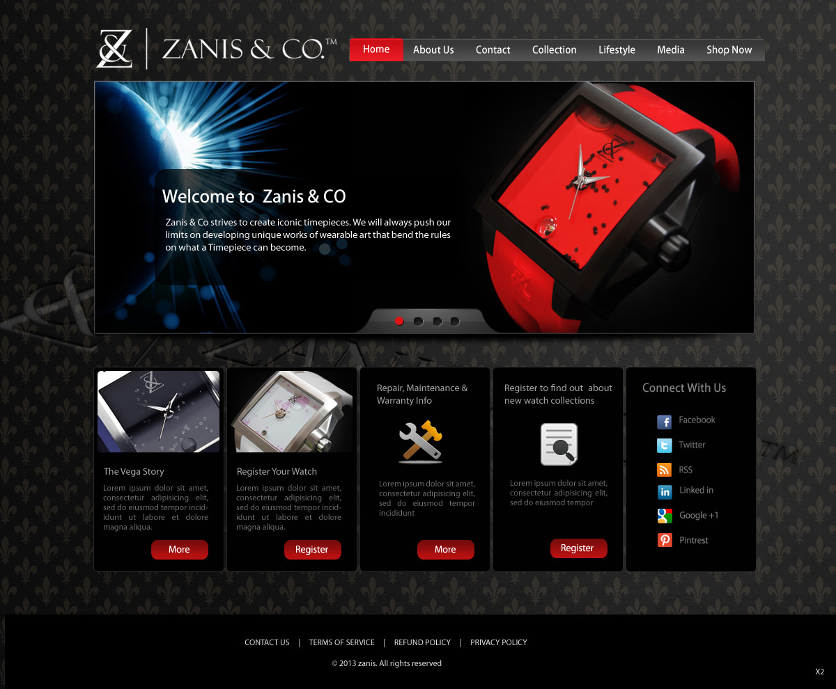 Web Design by pb for Zanis & Co | Design #2215703