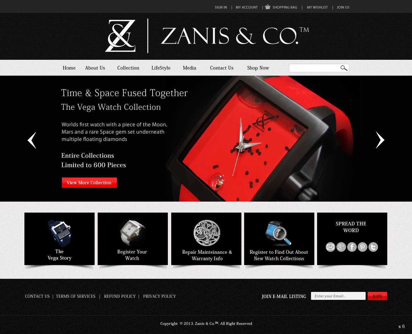Web Design by pb for Zanis & Co | Design #2215708