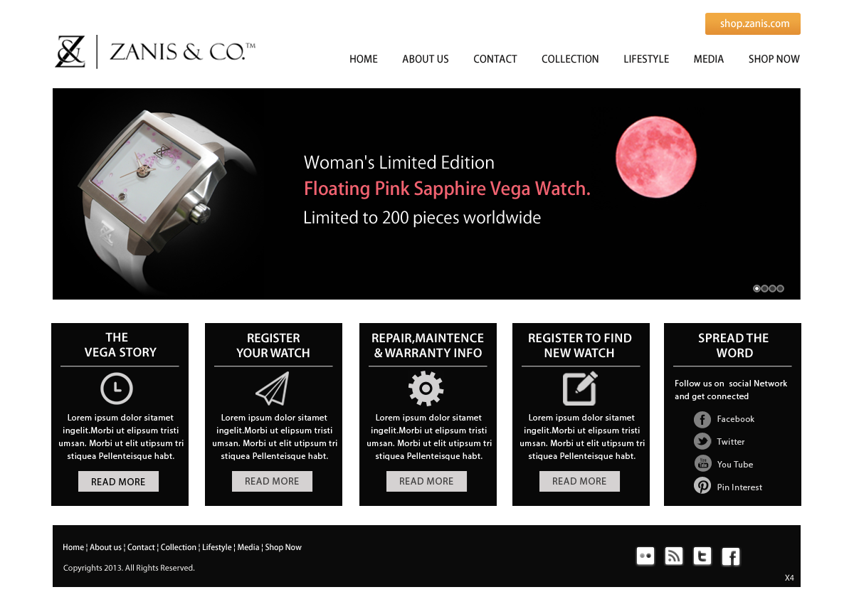 Web Design by pb for Zanis & Co | Design #2223215