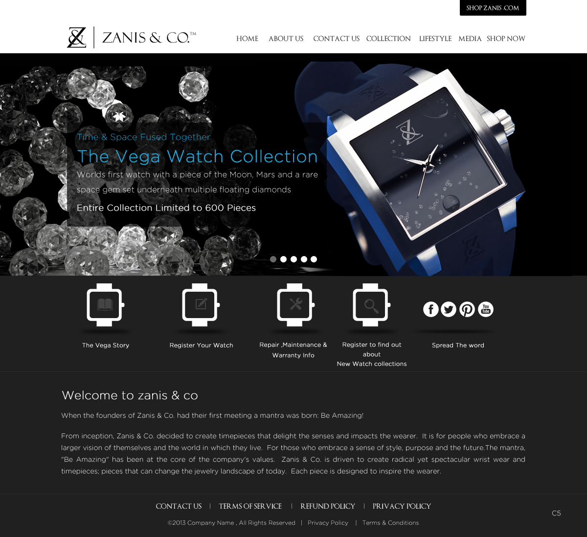 Web Design by pb for Zanis & Co | Design #2230377