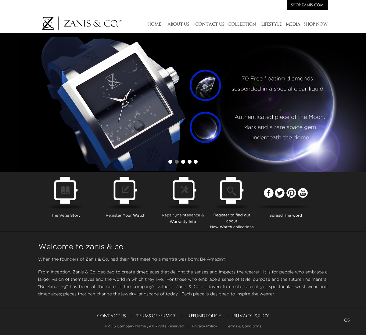 Web Design by pb for Zanis & Co | Design #2230379
