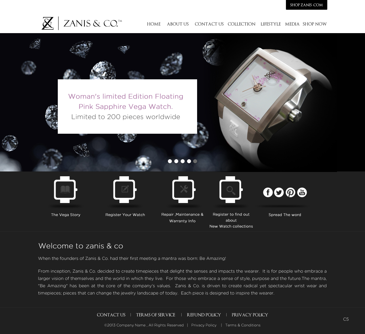 Web-Design von pb für Zanis & Co | Design #2230383