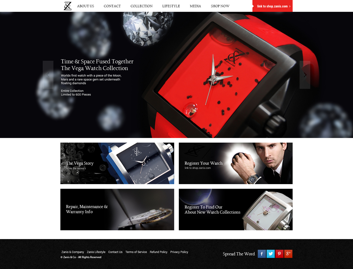 Web-Design von the-lion-king für Zanis & Co | Design #2214728