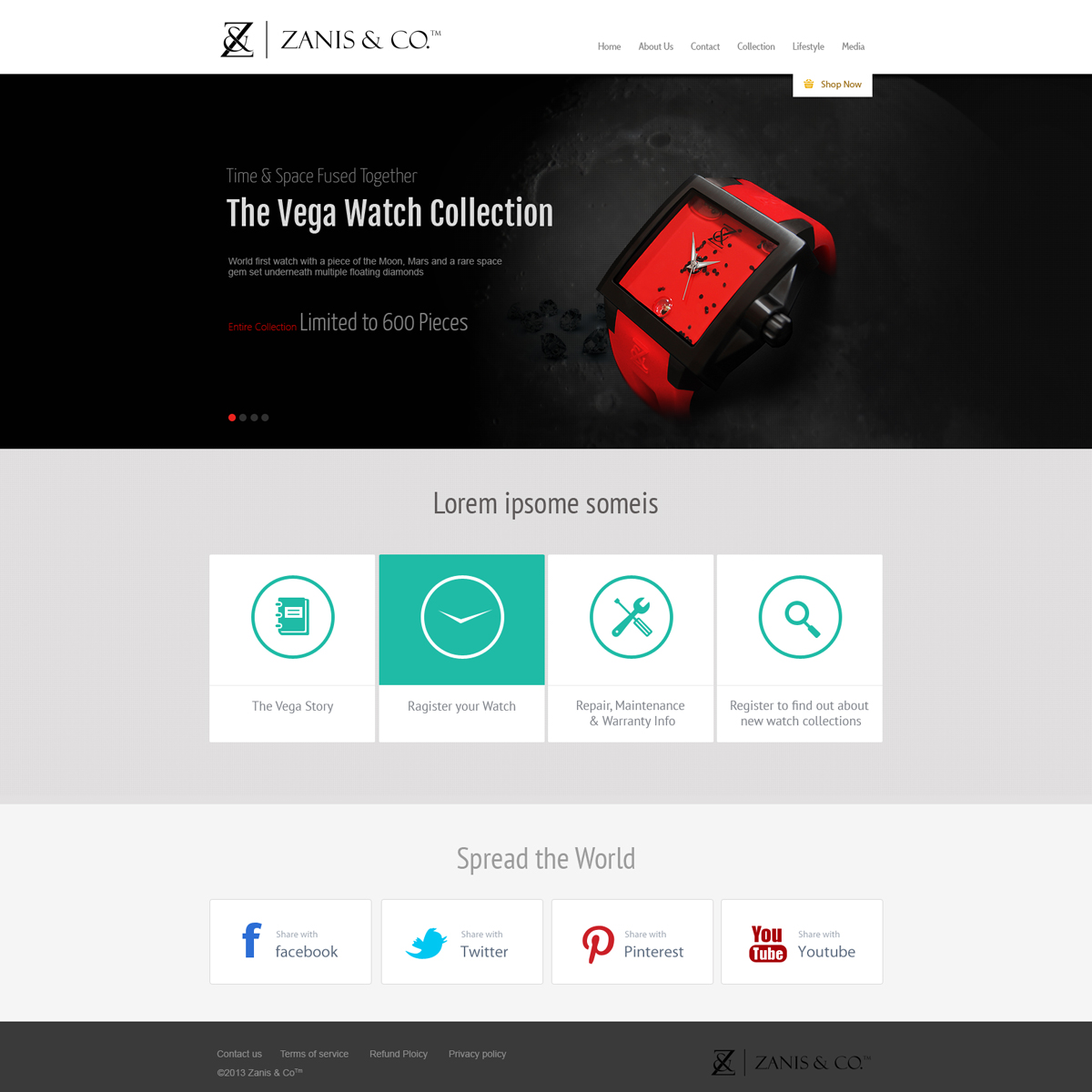 Web Design by ESolz Technologies for Zanis & Co | Design #2209357