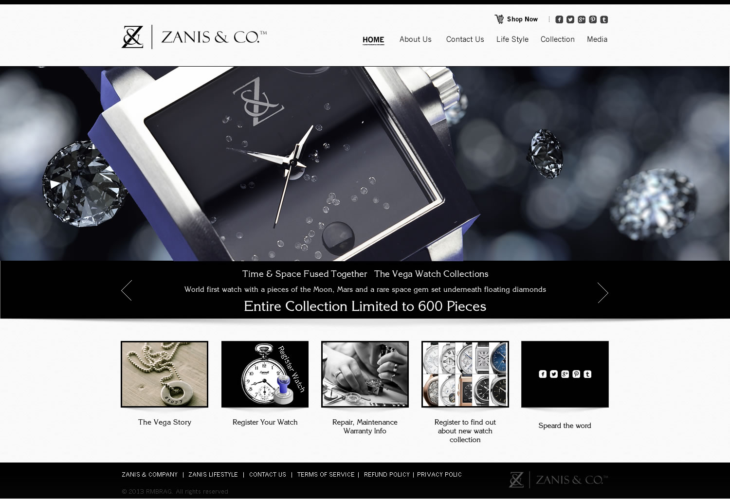 Web Design by TechWise for Zanis & Co | Design #2210580