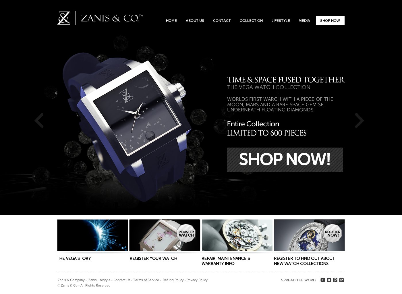 Web Design par TechWise pour Zanis & Co | Design #2210581