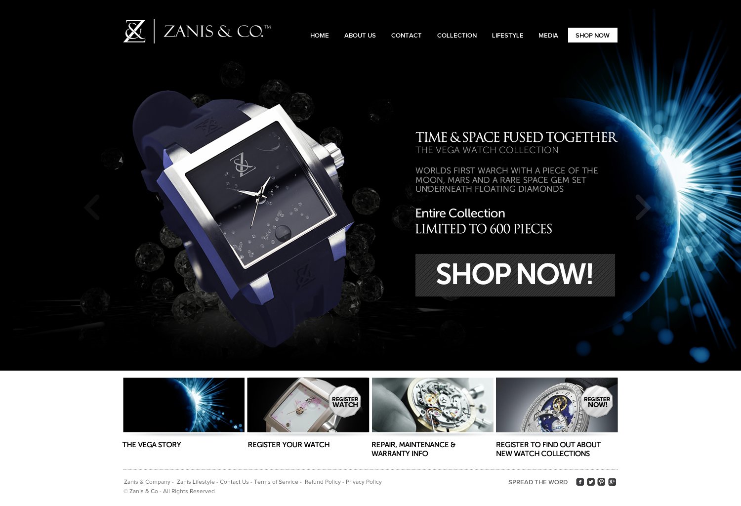 Web Design par TechWise pour Zanis & Co | Design #2210582