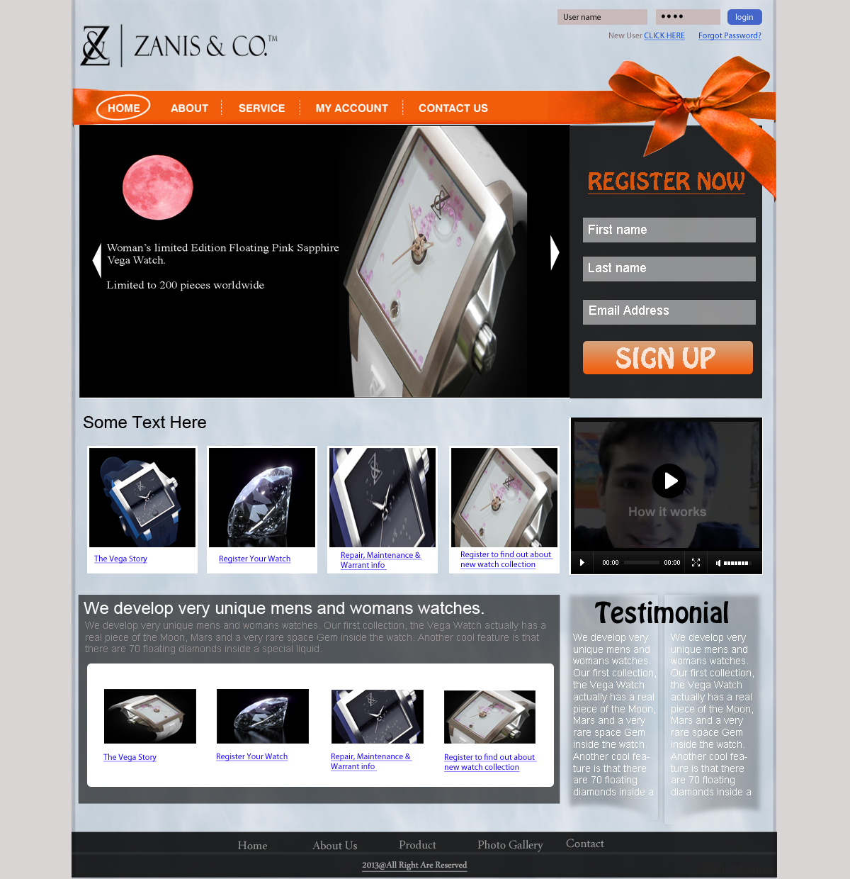 Web Design by Asad Ali for Zanis & Co | Design #2234369