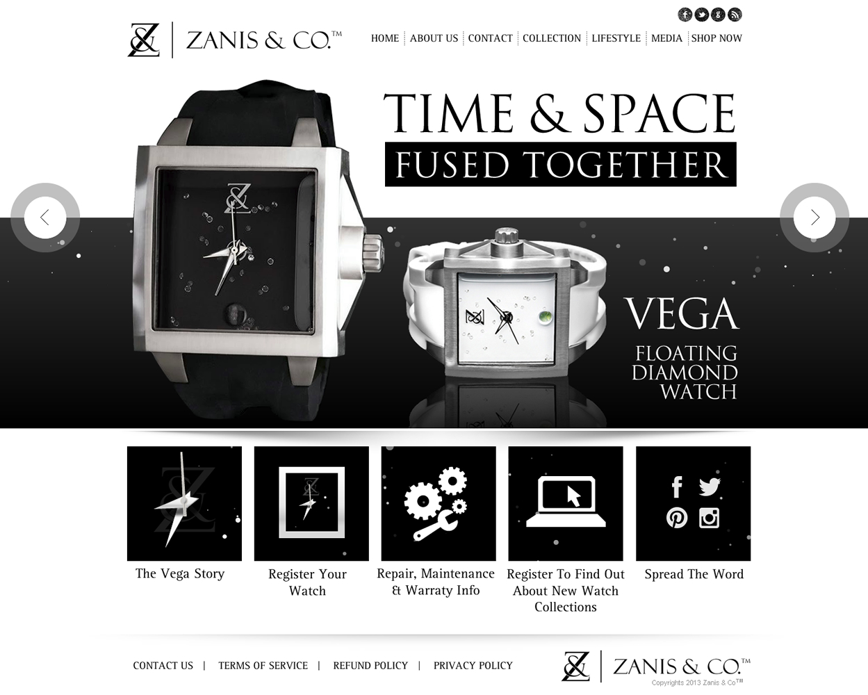 Web Design by Behriatech for Zanis & Co | Design #2224791