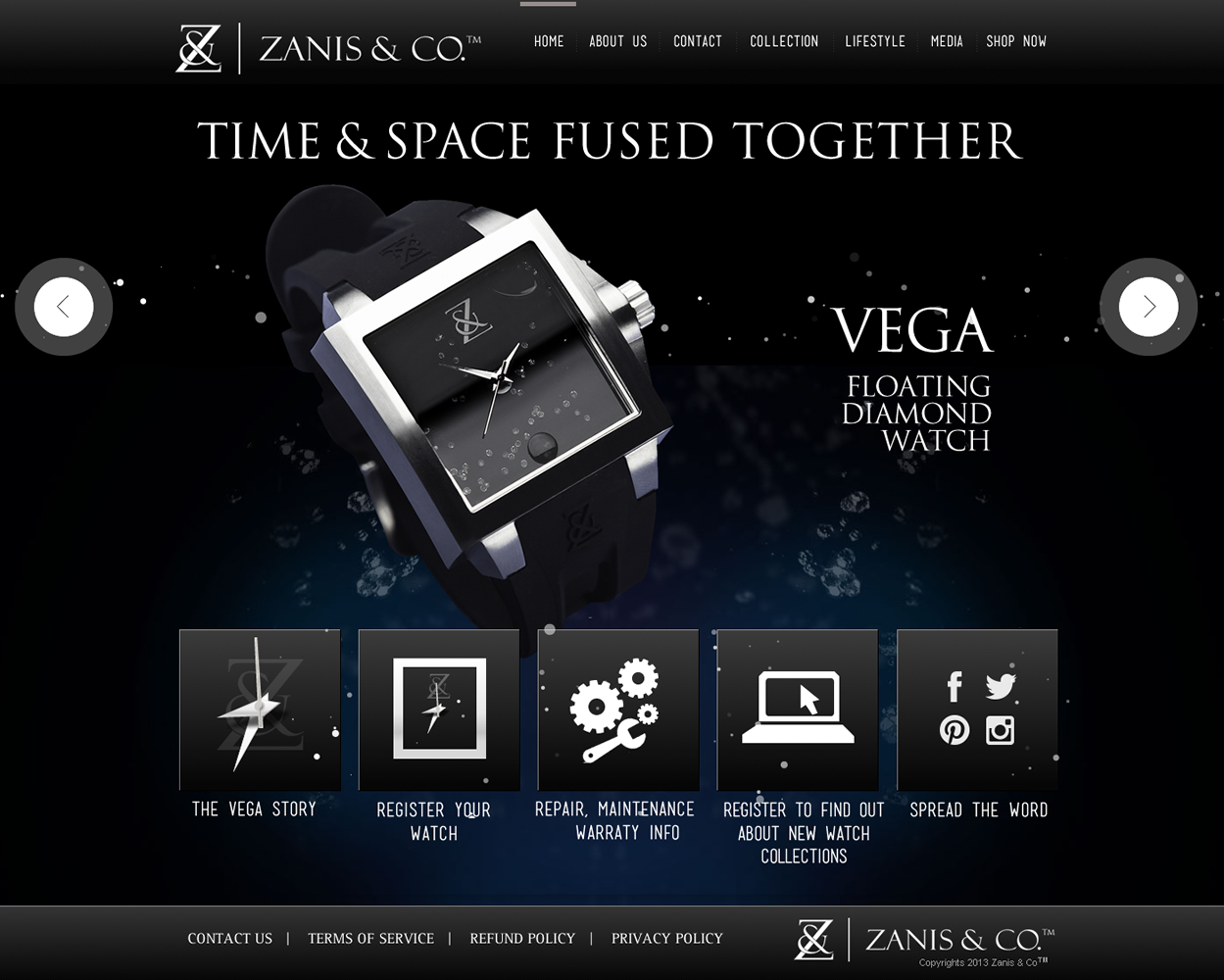 Web Design by Behriatech for Zanis & Co | Design #2224794