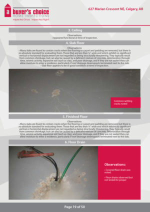 Brochure Design by Victor_pro for A Buyers Choice Home Inspections | Design: #10611811