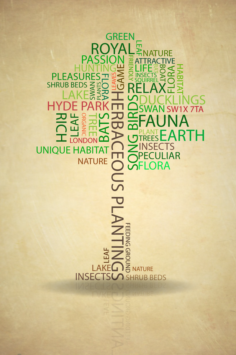 Poster Design by Tyson144 for this project | Design #2214898