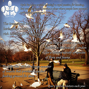 Poster Design by Afloroae Robert for this project | Design: #2210912