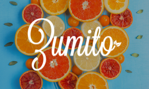 Logo Design by Fajar abdul kareem for Fuzenet Marketing | Design: #10543737