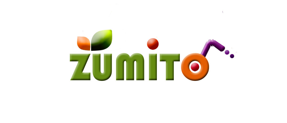 Logo Design by E.Dorranipour for Fuzenet Marketing | Design #10588359